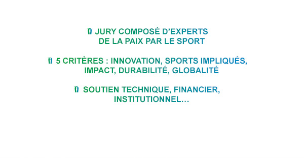 JURY COMMITEE COMPOSED OF PEACE THROUGH SPORT EXPERTS